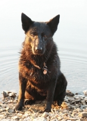BildOben